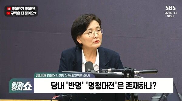 임미애 더불어민주당 의원이 22일 SBS라디오 '김태현의 정치쇼'에 나와 ㅇ