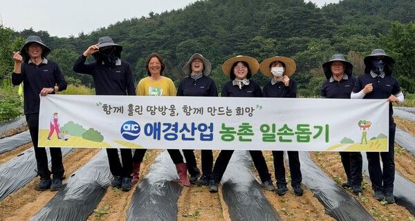 애경산업은 영농철을 맞아 충남 청양군에서 농촌 일손 지원 활동을 진행했다. [사진=애경산업]