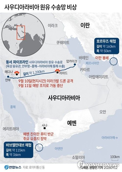 [그래픽=연합뉴스]