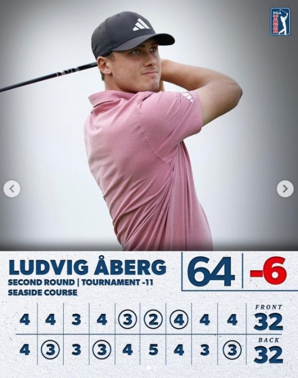 루드비그 아베리. 사진=PGA투어