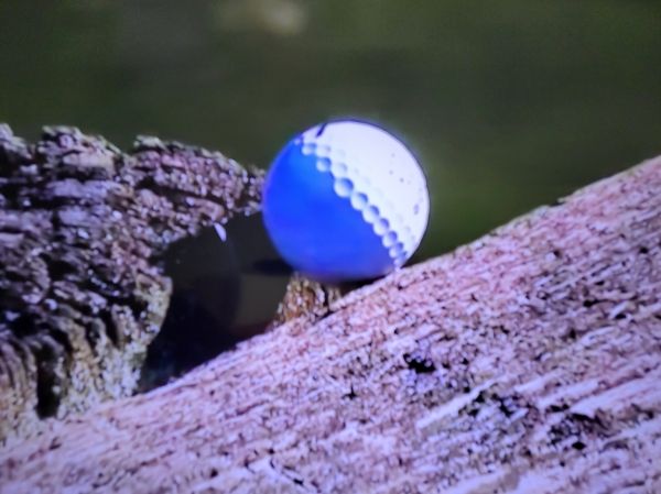 패트릭 캔틀레이의 볼. 사진=JTBC골프 TV 촬영