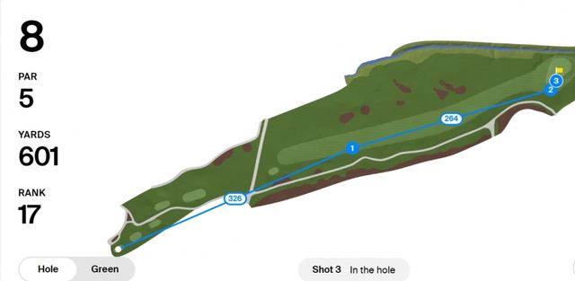 피나우가 이글을 잡은 8번홀.