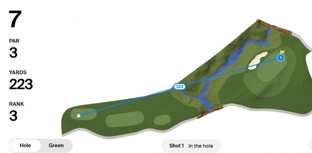 홀인원한 피터 말너티 7번홀.