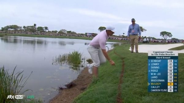 드롭하는 로리 매킬로이.