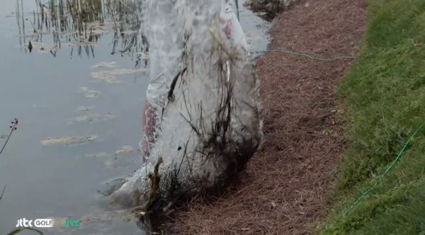 로리 매킬로의 샷한 볼이 다시 물로 들어갔다.