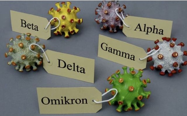 게티이미지뱅크