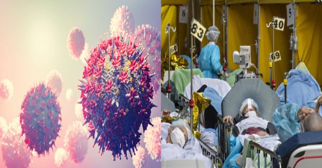 게티이미지뱅크