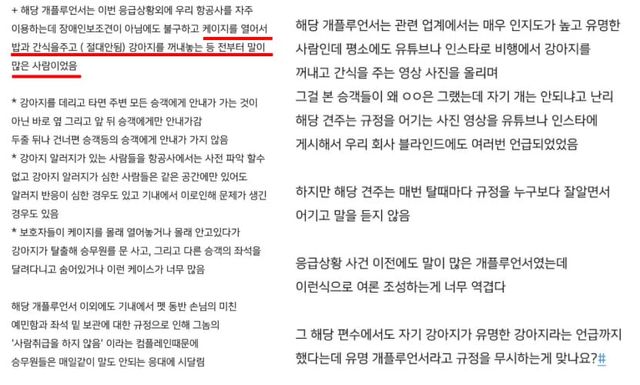 '블라인드'