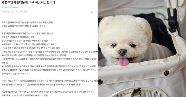 '블라인드' /&nbsp; 유튜브 '달려라 달리'