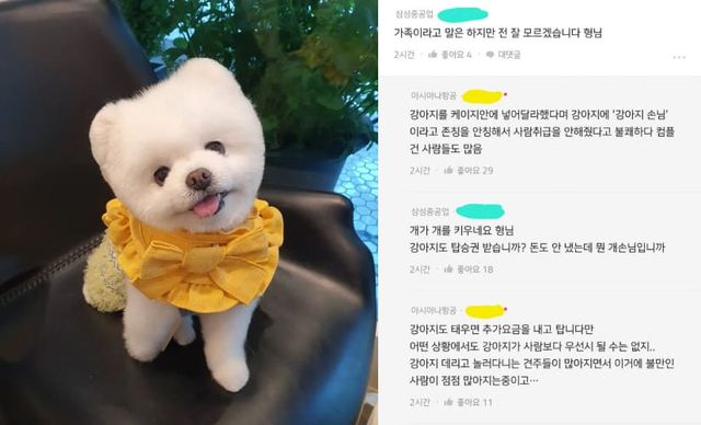 유튜브 '달려라 달리' / '블라인드'