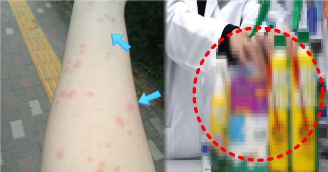 온라인 커뮤니티 /&nbsp;KBS