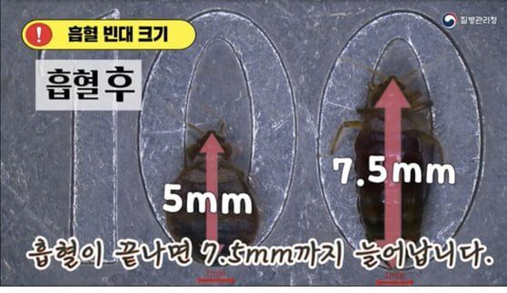 유튜브 '질병관리청'