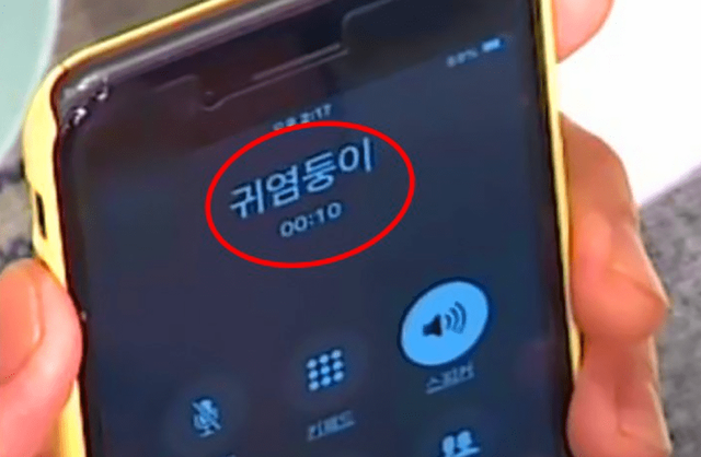 온라인 커뮤니티