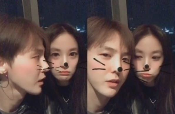 온라인 커뮤니티