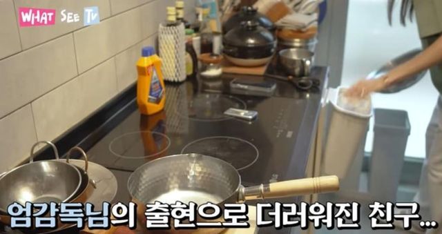 유튜브 채널 '윤혜진의 What see TV'