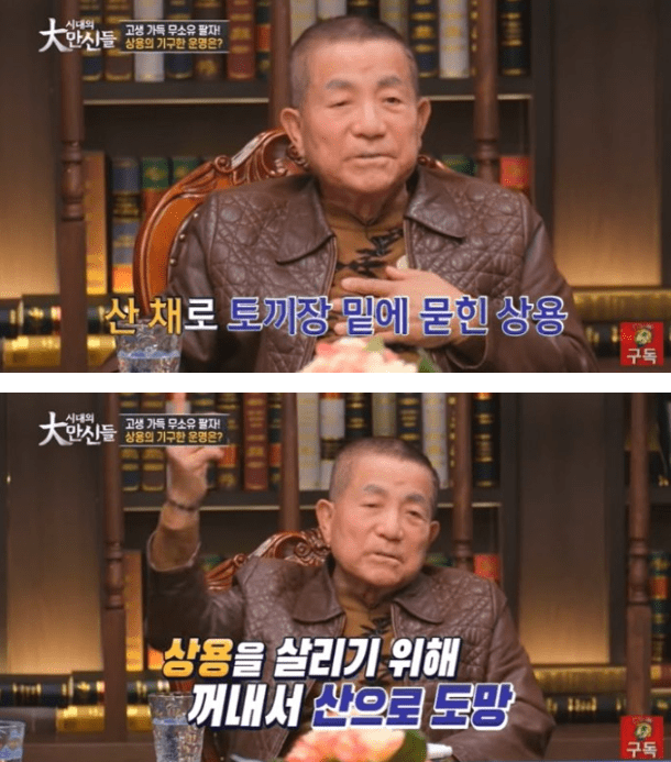 유튜브 채널 '베짱이 엔터테인먼트'