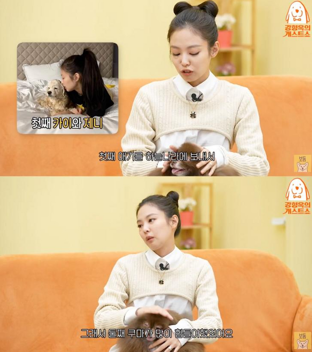 유튜브 채널 '강형욱의 보듬TV'