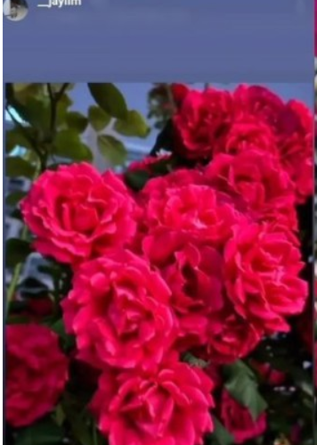 송재림 인스타그램