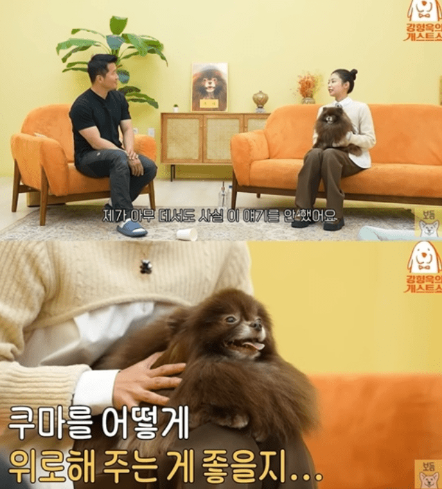 유튜브 채널 ‘강형욱의 보듬TV’&nbsp;