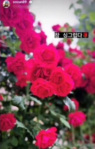 김소은 인스타그램