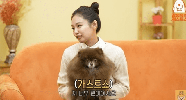 유튜브 채널 ‘강형욱의 보듬TV’&nbsp;