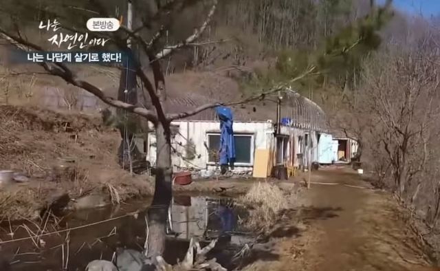 MBN&nbsp;‘나는&nbsp;자연인이다’