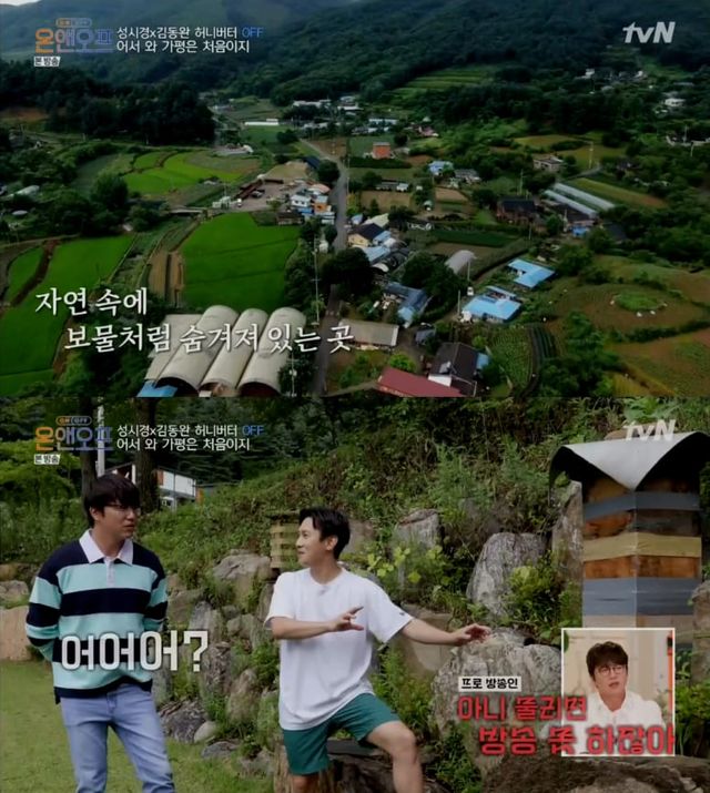 tvN '온앤오프'