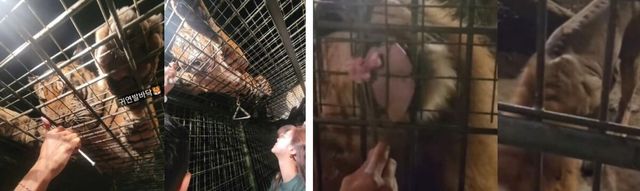 황정음 인스타그램&nbsp;