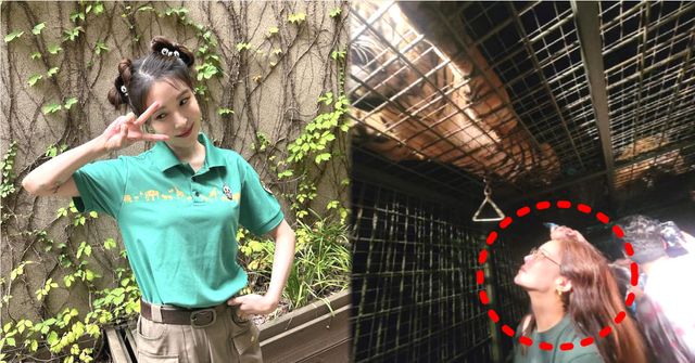 보아 인스타그램 / 황정음 인스타그램&nbsp;