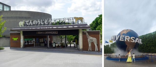 덴노지 동물원 / 황정음 인스타그램