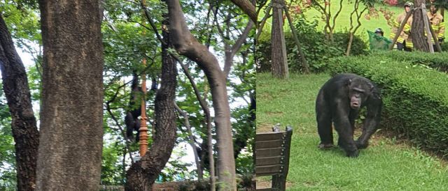 온라인 커뮤니티