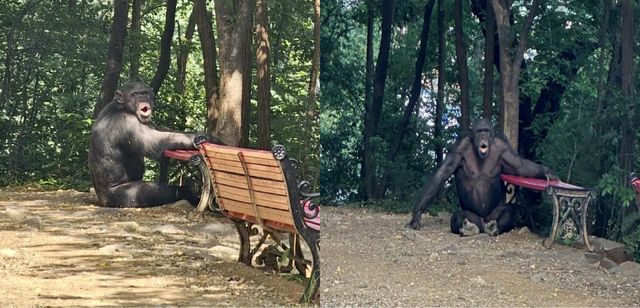 온라인 커뮤니티