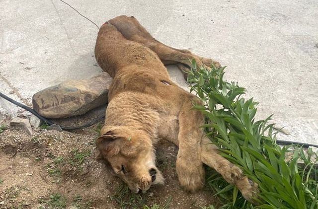 온라인 커뮤니티