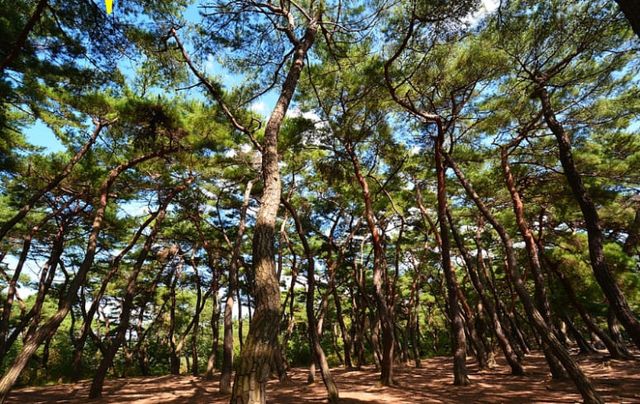 온라인 커뮤니티