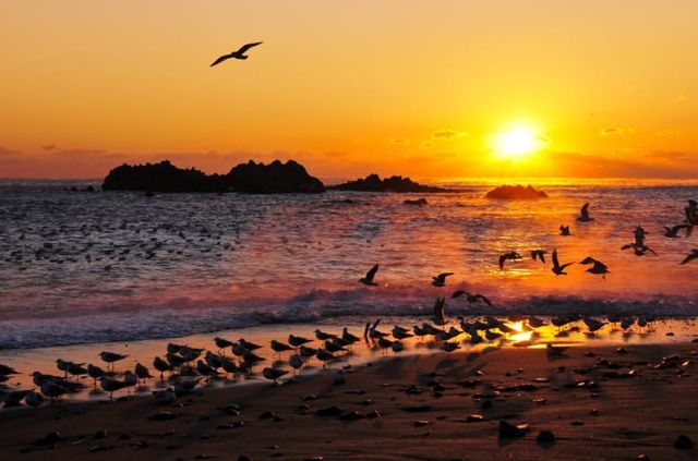 온라인 커뮤니티