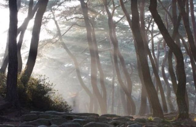 온라인 커뮤니티