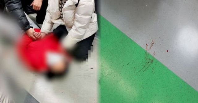 수인분당선 흉기 난동 사건 / 합정역 칼부림 사건