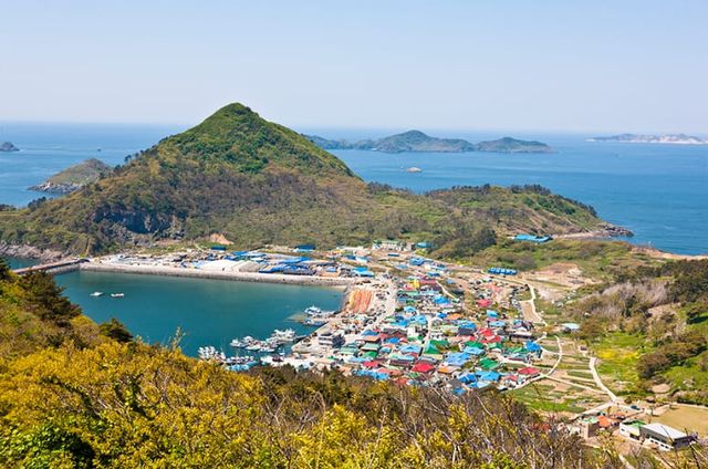 온라인 커뮤니티