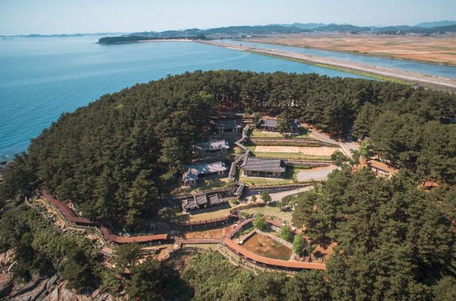 온라인 커뮤니티