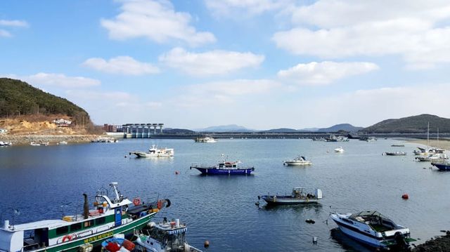 온라인 커뮤니티