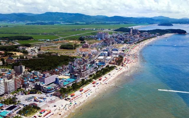 온라인 커뮤니티