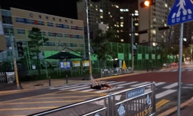 온라인 커뮤니티