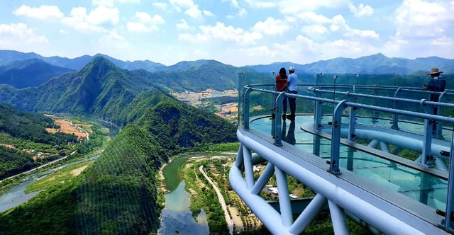 온라인 커뮤니티