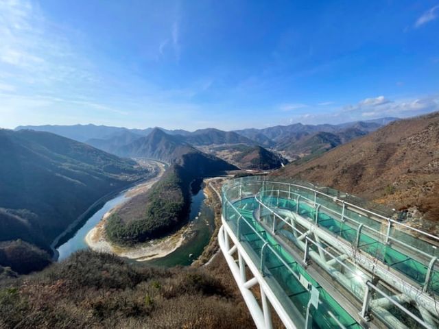 온라인 커뮤니티