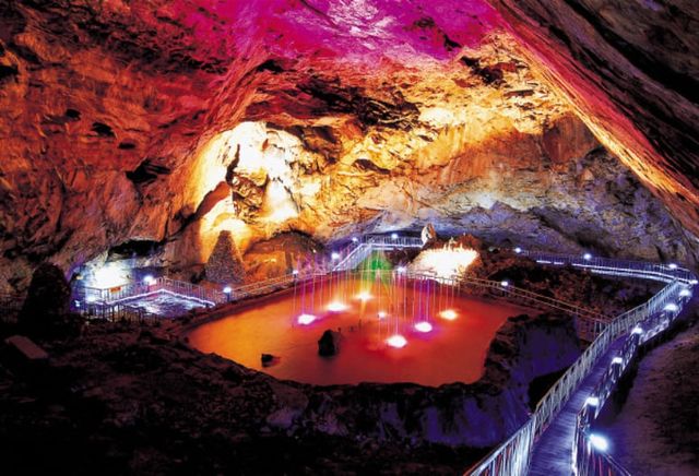 온라인 커뮤니티