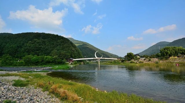 온라인 커뮤니티