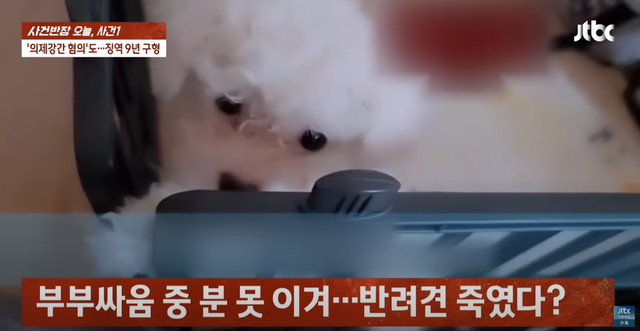 인터넷 커뮤니티