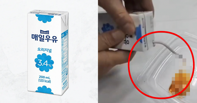 인터넷 커뮤니티