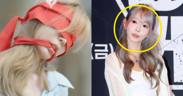 웨이브 / 스타뉴스