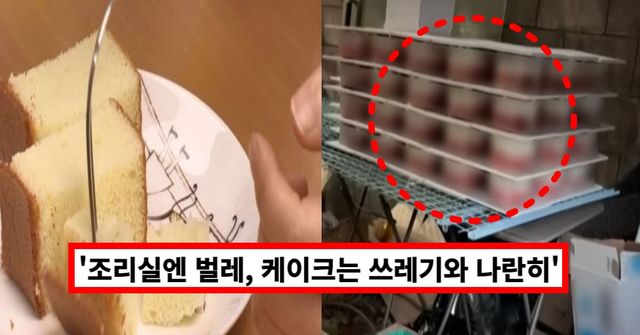 온라인 커뮤니티